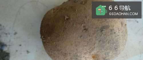 怎样做家常炝土豆丝?