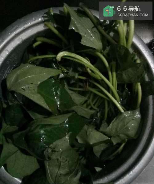 五花肉炒地瓜叶的做法非常简单美味哦