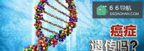 如果亲人有患这4类癌 你要注意啦