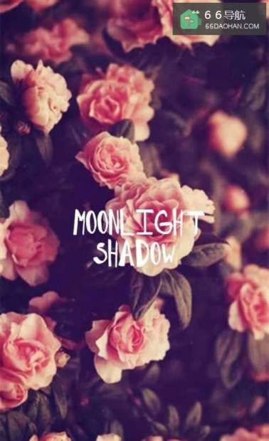 喜欢与爱有何区别?