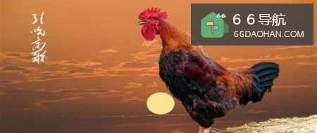 婚姻小秘书：[41]买了新衣服以后的头疼事