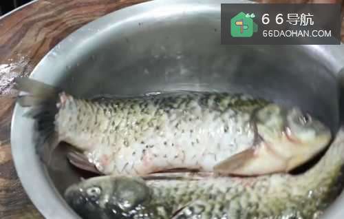 电饭煲酥焖鲫鱼,骨酥刺烂,鱼刺再多也不怕