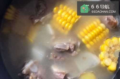 玉米萝卜排骨汤