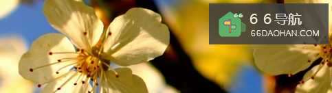 excel怎么查看谁没有签到