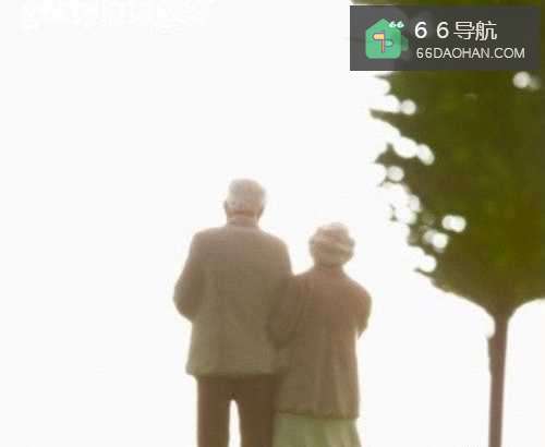 过年给爸妈什么好