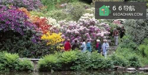 儿女孝敬父母要趁早