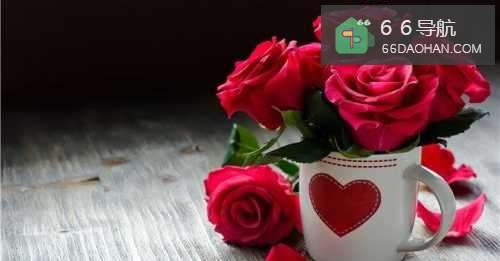 家里父母催婚怎么办