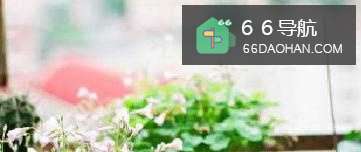 如何给女方的父母留下好印象？