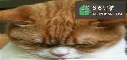 妻子老是抱怨该怎么办