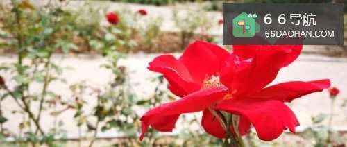 职场女性如何消除不良情绪的影响