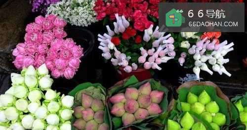 花草店如何选铺