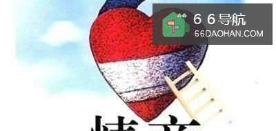 高情商的男人有什么特点?