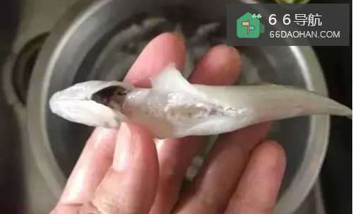 鱼儿这样做,孩子吃的连骨头都不剩,还能补钙