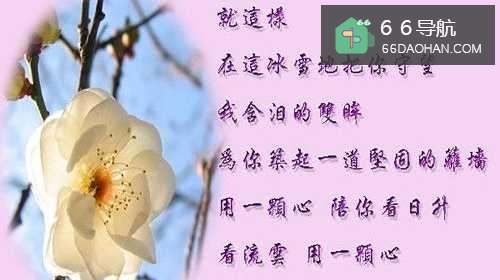 为什么异地恋这么难