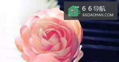 离婚后该如何调节心态?