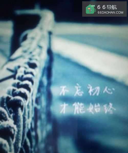 感情顺其自然