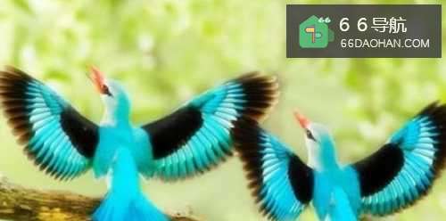 淘女朋友开心的小秘诀