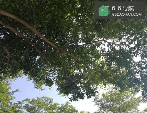 职场小白，应该注意什么？