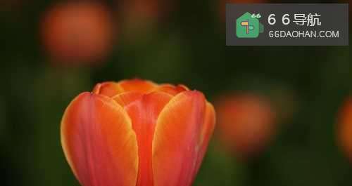 老婆的心情是家庭每天的晴雨表