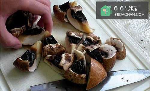 如何做波特贝勒菇蒸鸡