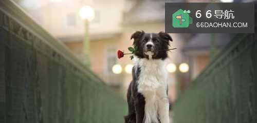 男生如何让自己摆脱单身