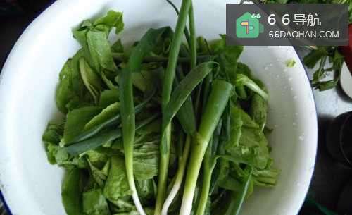 懒人怎么做青菜豆腐?