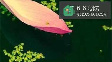 人生无返程，且行且珍惜