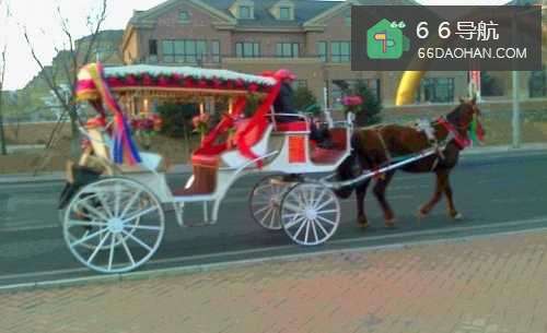 怎样告诉孩子马车为什么在道边走