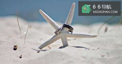 如何得到真实的幸福,5条建议