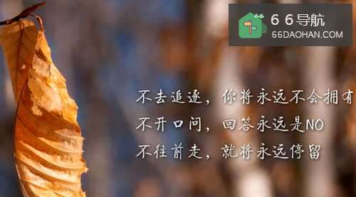 做任何事情,怕了!你就会输一辈子!