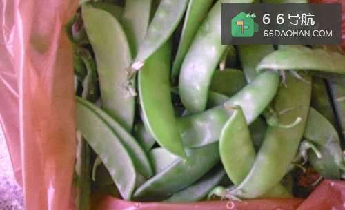 最常见的家常菜：[11]荷兰豆炒猪肉怎么炒才好