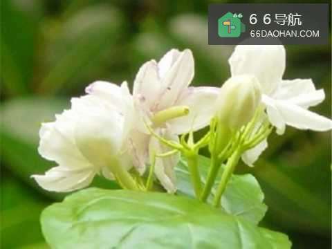 父母如何帮助孩子过好四年大学