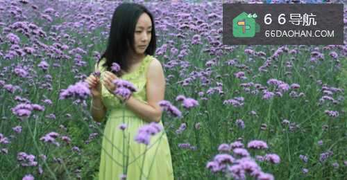 如何辨识情场小菜鸟妹子?有这些特征的基本都是