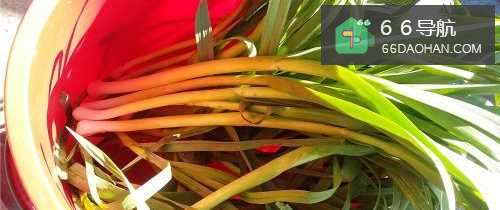 蒸海蛎糕(闽南特色小吃)----新春特辑