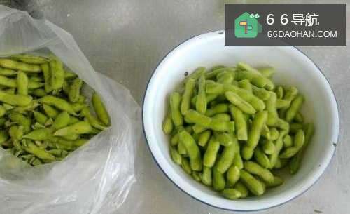 煮毛豆怎么做