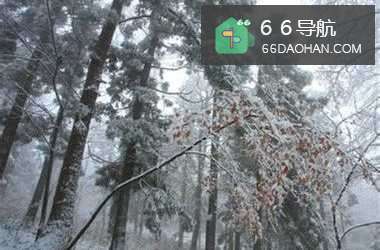 遭人嫉妒怎么办？