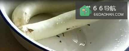 #招募令2.0#蒜香茄子煲怎么做?