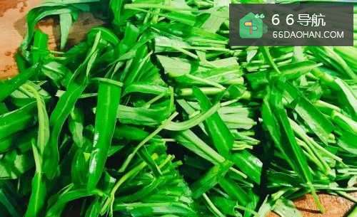 怎样做出家常菜系列之空心菜炒羊肉