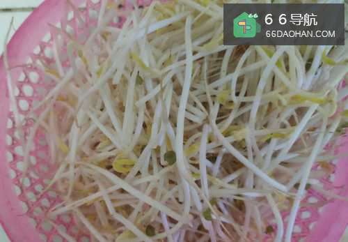 家常炒豆芽的做法