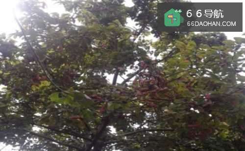 年轻人回到家时该怎么跟父母相处