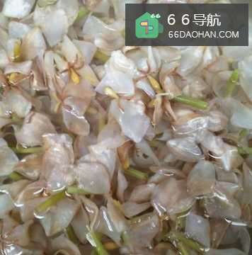 栀子花炒肉怎么做?