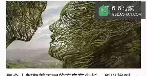 如何看待家里人插手自己爱情的事情