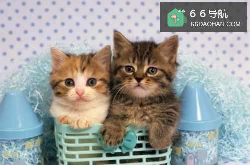 职场风云——求职技巧。