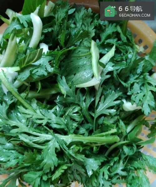 简易家常菜—蓬蒿炒青菜