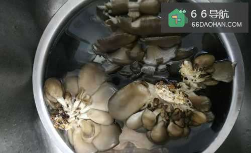 如何做出下饭的美味家常菜平菇炒鸡片