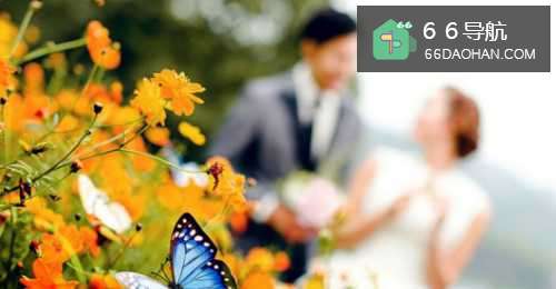 怎样的女人在爱情中不会吃亏?