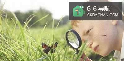 如何提高孩子观察力