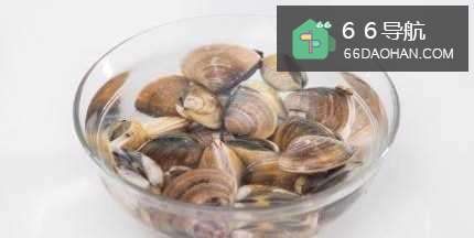 如何做出家常菜系列之丝瓜蛤蜊汤