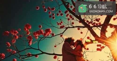 被表白,不喜欢他/她,应该接受吗?