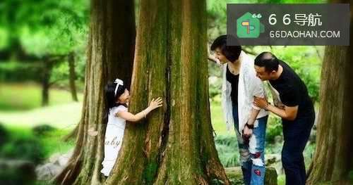 孩子喜欢什么样的父母?